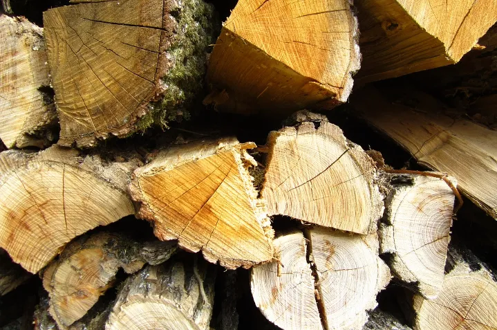 screenshot 20191105 075215