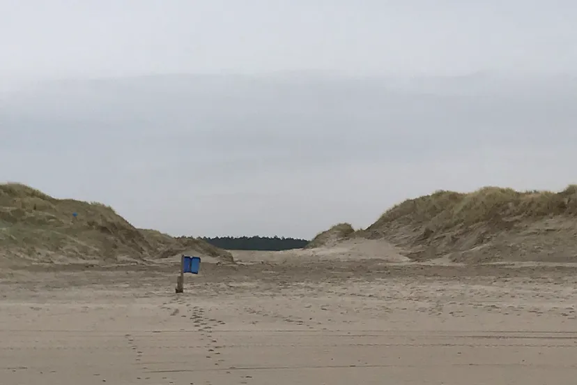 screenshot 20191106 152932