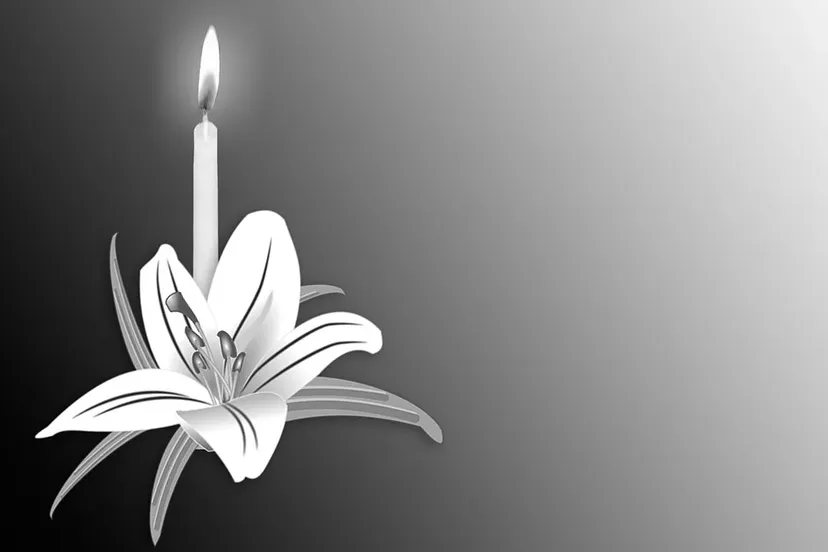 screenshot 20191111 063357