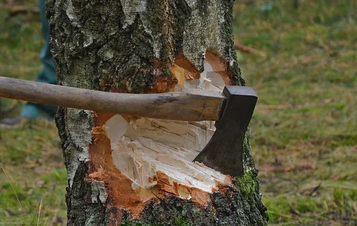 screenshot 20191113 091525