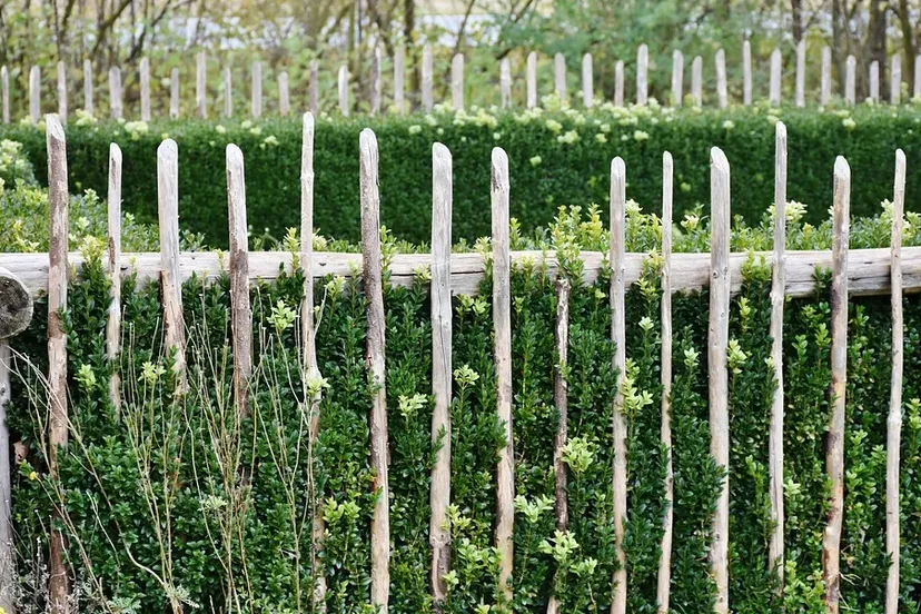 screenshot 20191113 141823