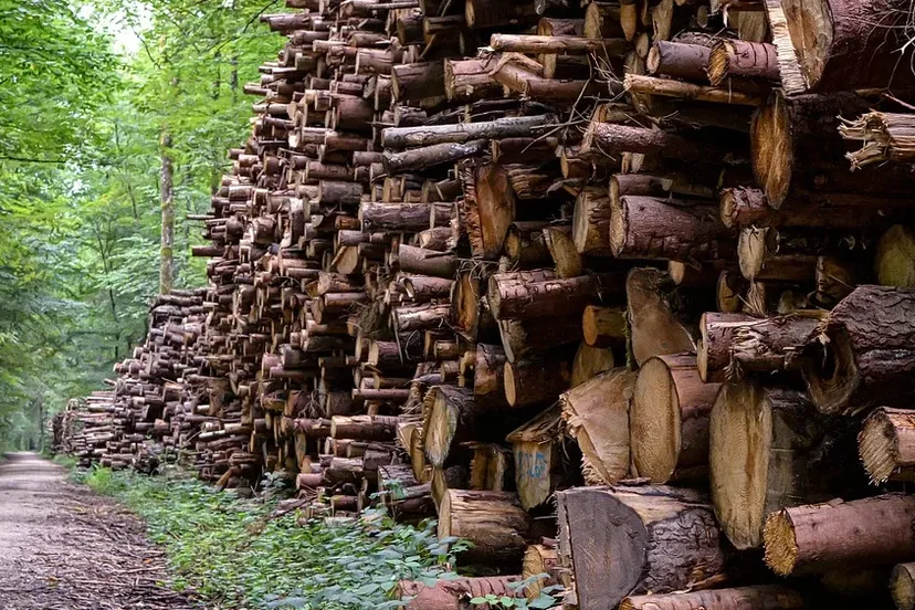 screenshot 20191114 124949