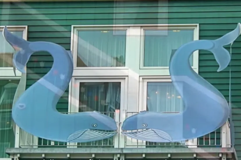 screenshot 20191203 122831