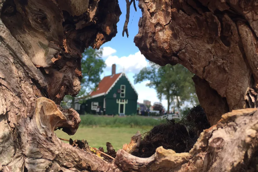 screenshot 20191220 171546