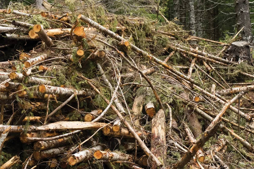 screenshot 20191221 145606