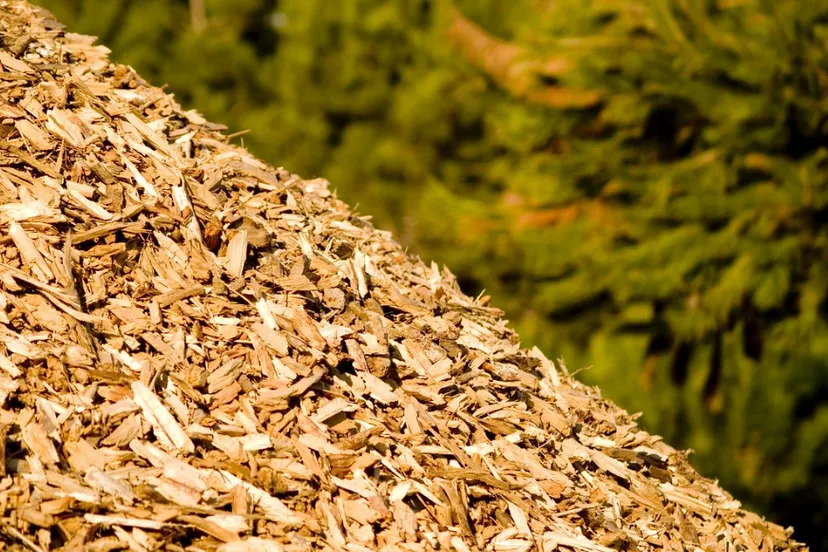 screenshot 20200109 064722