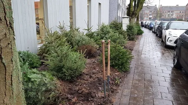 screenshot 20200110 145522