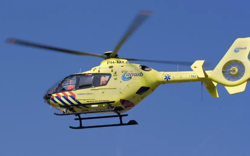 screenshot 20200209 110259 915x518 1 915x518 1 915x518 1