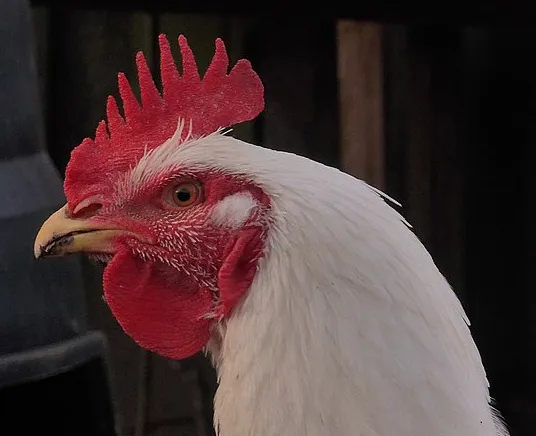 screenshot 20200212 142509