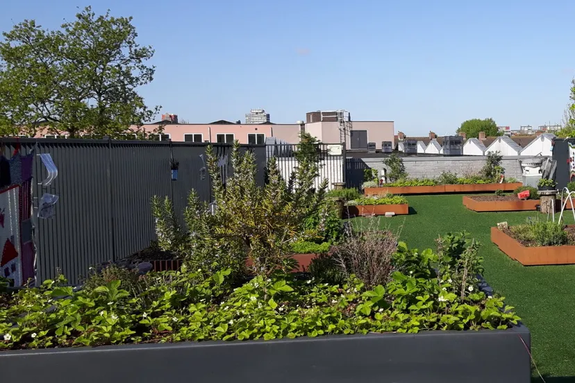 screenshot 20200218 102716