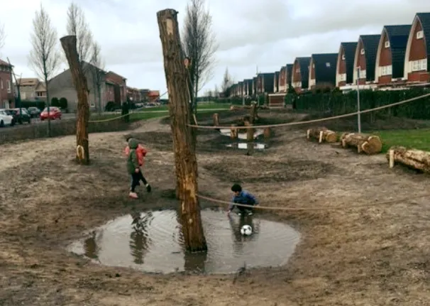 screenshot 20200221 175046