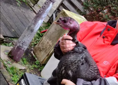 screenshot 20200222 141917