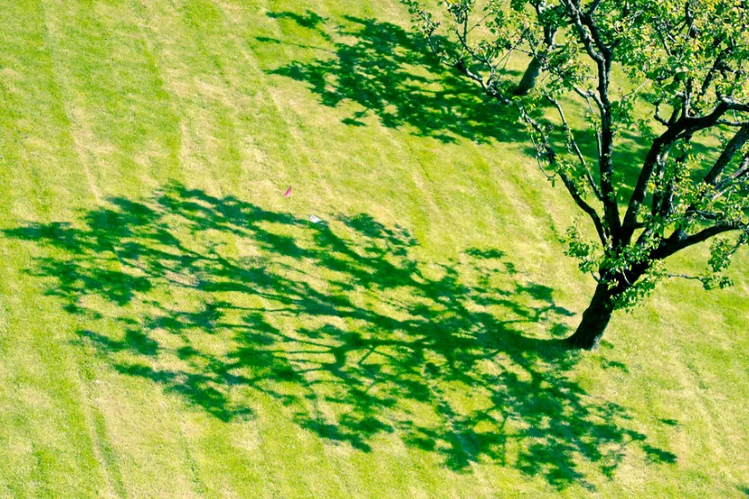 screenshot 20200309 150804