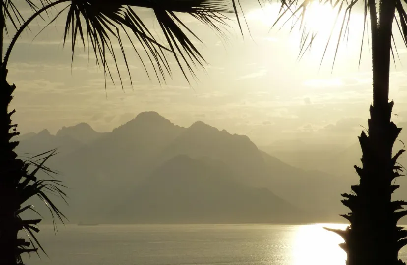 screenshot 20200310 085357