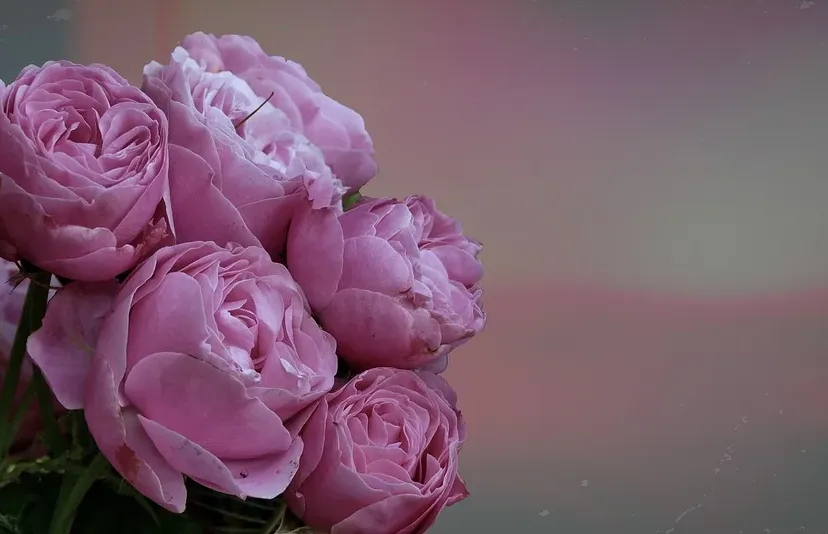 screenshot 20200322 075223