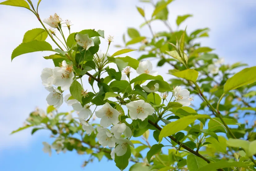 screenshot 20200324 115922