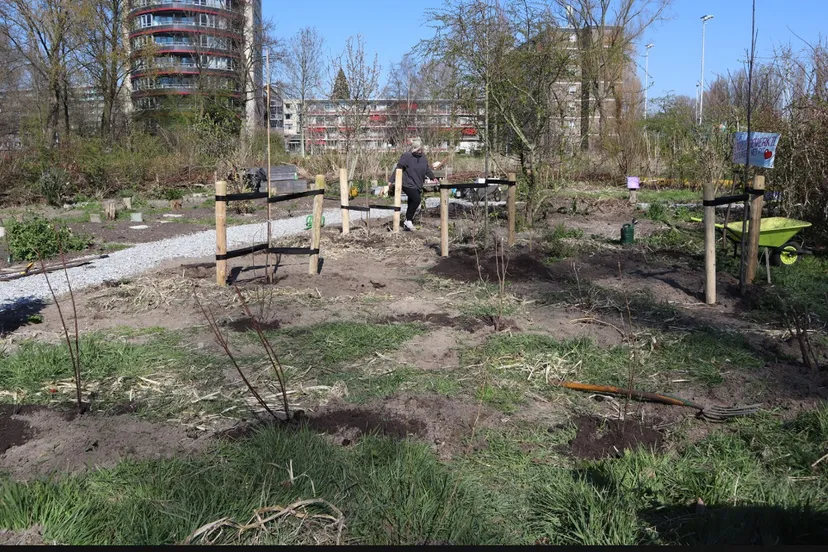 screenshot 20200401 154751