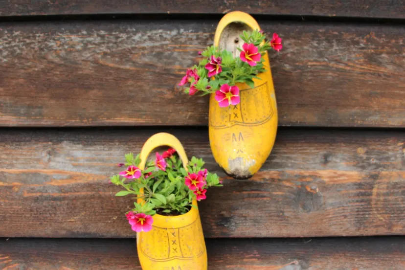 screenshot 20200402 084801