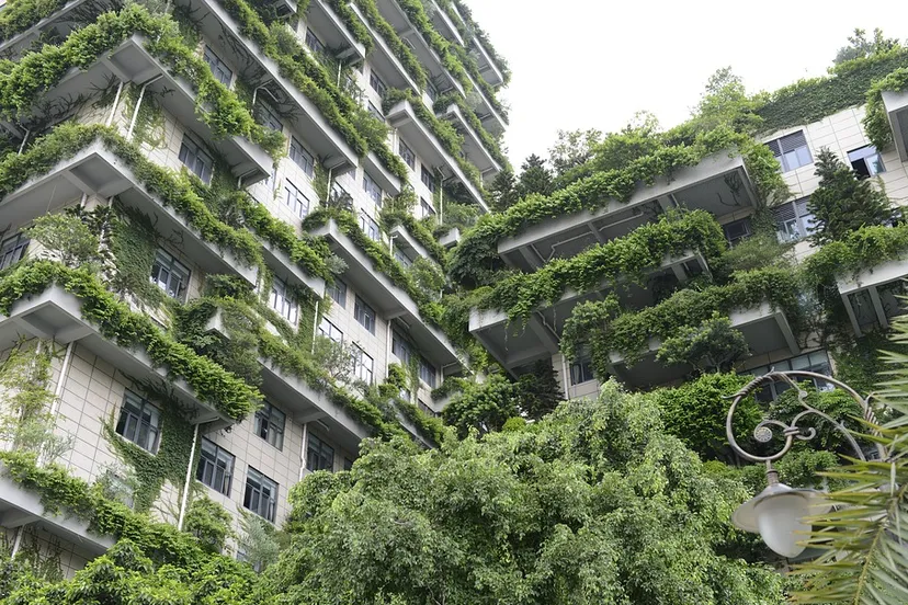 screenshot 20200404 153930