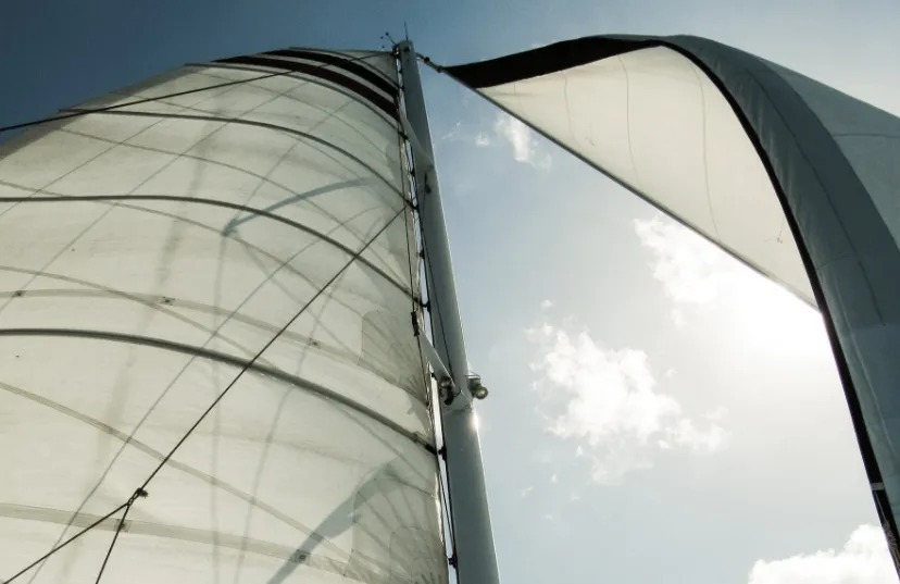 screenshot 20200410 085948