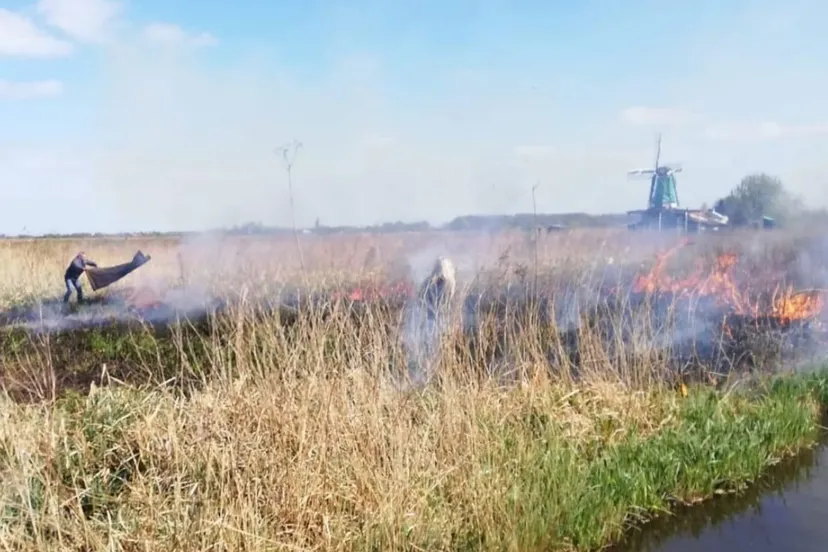 screenshot 20200414 101405