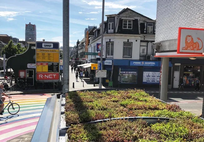 screenshot 20200527 095241