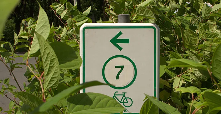 screenshot 20200528 150501