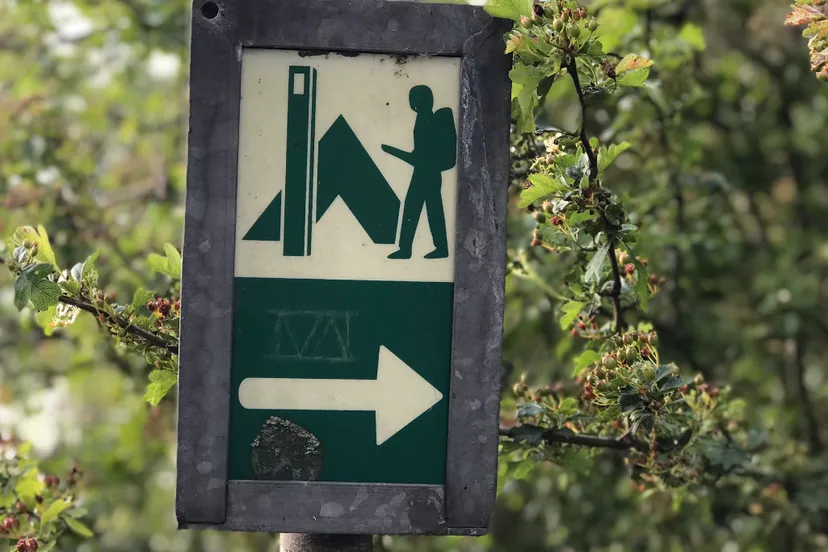 screenshot 20200528 160325