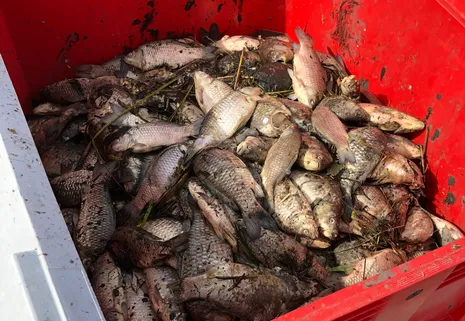 screenshot 20200603 165127