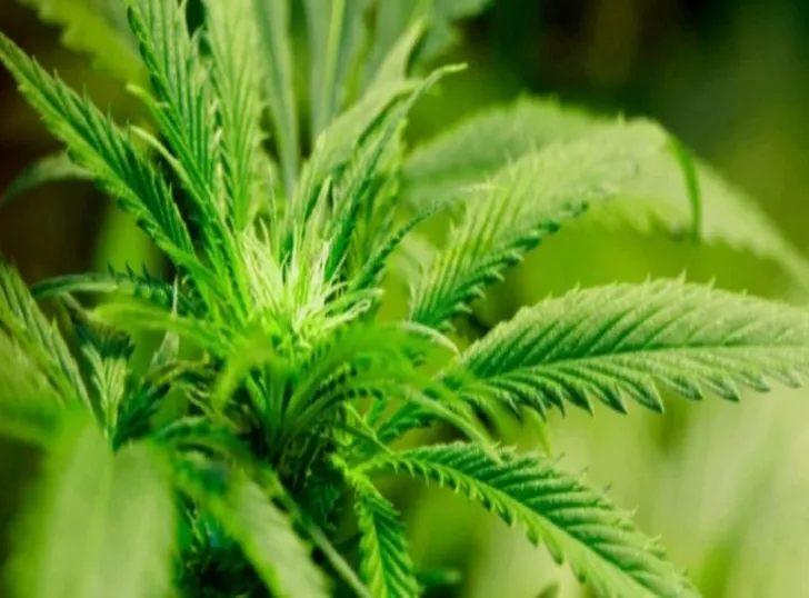 screenshot 20200609 164042