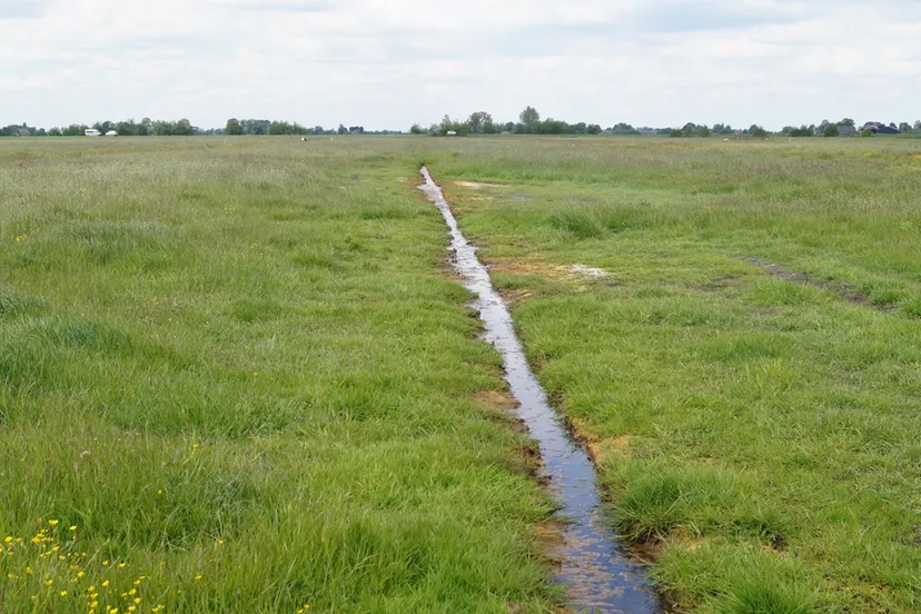 screenshot 20200611 174853