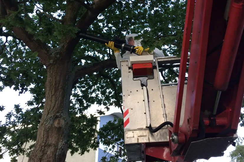 screenshot 20200617 170940