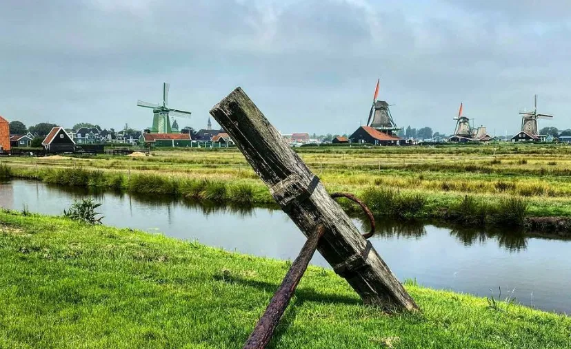 screenshot 20200618 123919