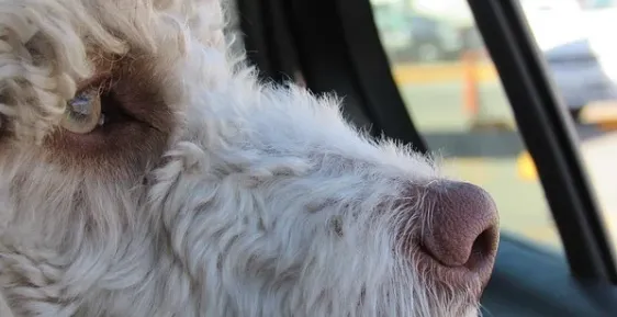 screenshot 20200623 104736