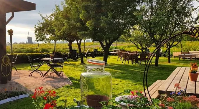 screenshot 20200629 112227