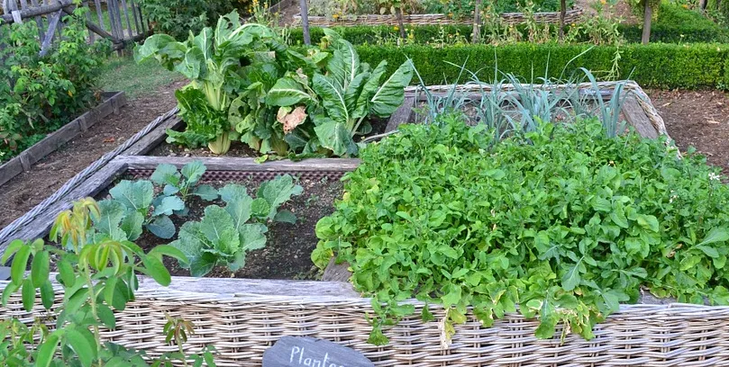 screenshot 20200702 120926