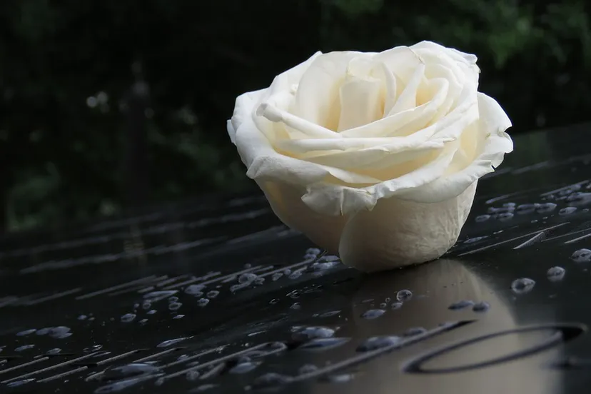 screenshot 20200722 133632