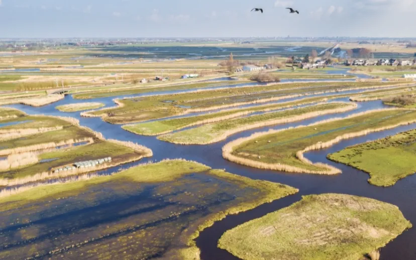 screenshot 20200729 120921 915x518 1