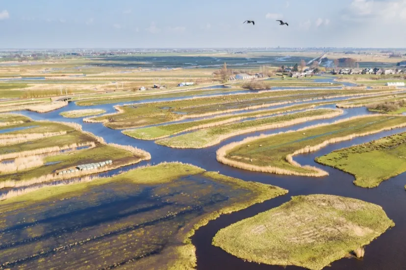 screenshot 20200729 120921