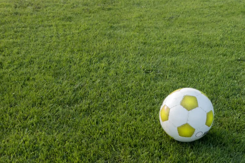 screenshot 20200730 103732