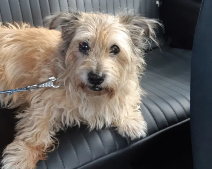 screenshot 20200802 134939