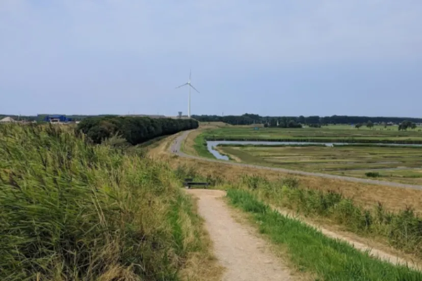 screenshot 20200804 151538