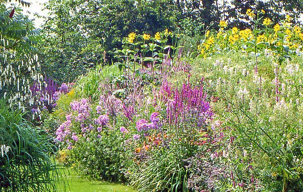 screenshot 20200805 120040