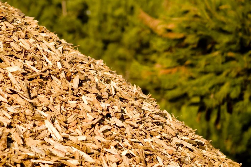 screenshot 20200808 141427