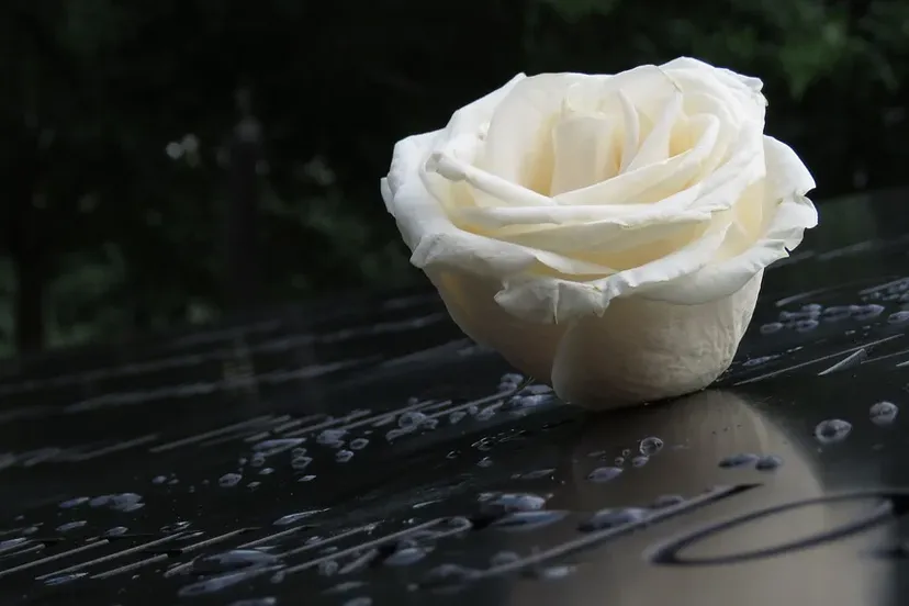 screenshot 20200808 144653