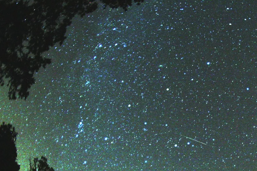 screenshot 20200811 112911