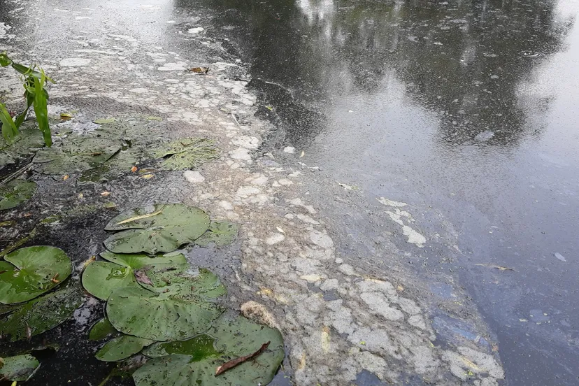 screenshot 20200817 152922