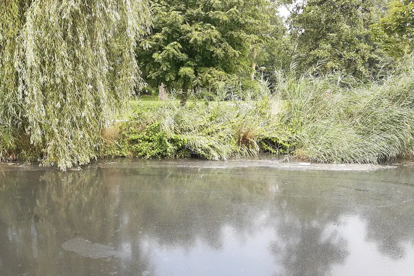 screenshot 20200818 181811