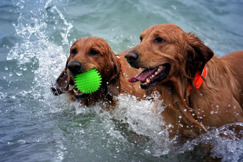 screenshot 20200902 103320