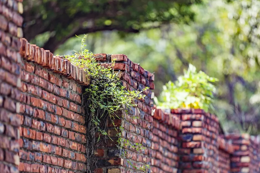 screenshot 20200906 121837